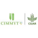 CIMMYT