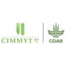 CIMMYT